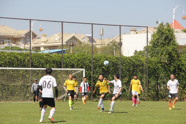 绿军大胜独行侠10连胜 哈利0分步行者惨负鹈鹕